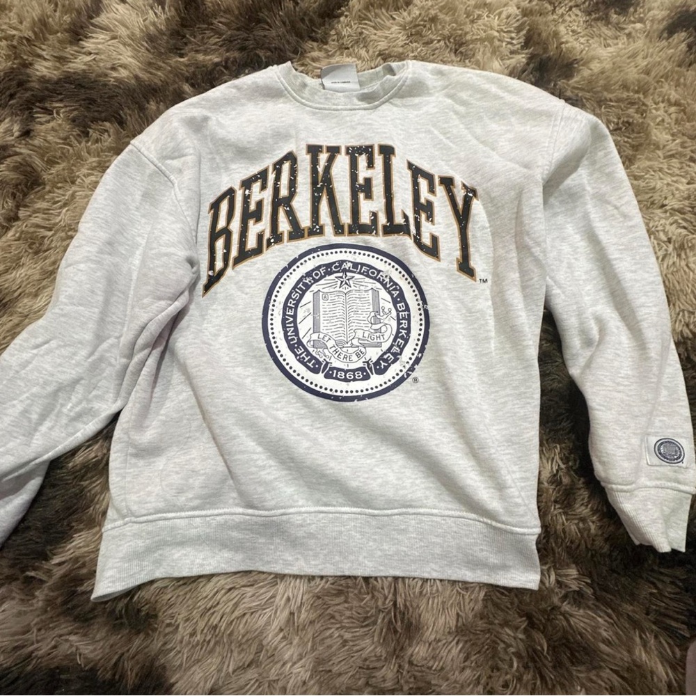 Berkeley Light Gray Crew Neck Sweater